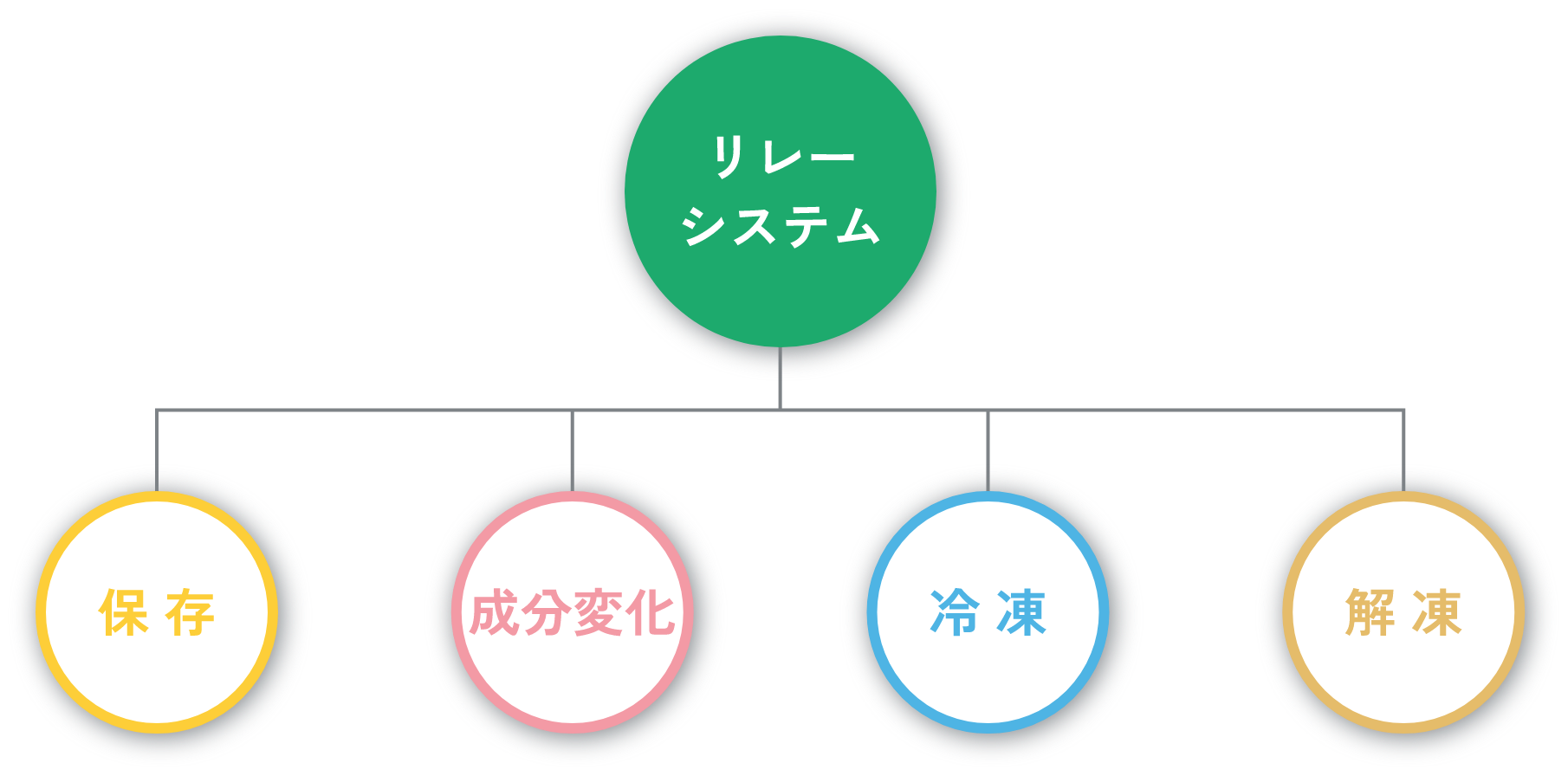 リレーシステム保存成分変化冷凍解凍